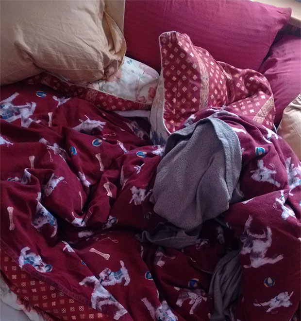 the bed after Stewie is done with it